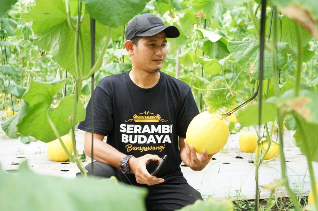 Sapa Penerima Manfaat Kebun Green House Pemberdayaan DD Jatim