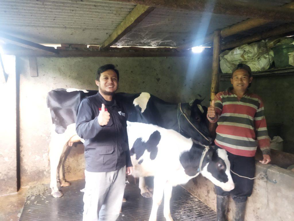 Berdaya Karena Beternak