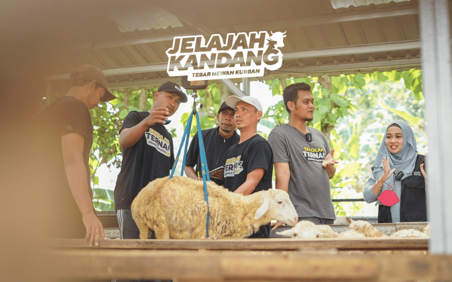 Jelajah Kandang Tebar Hewan Kurban 2022