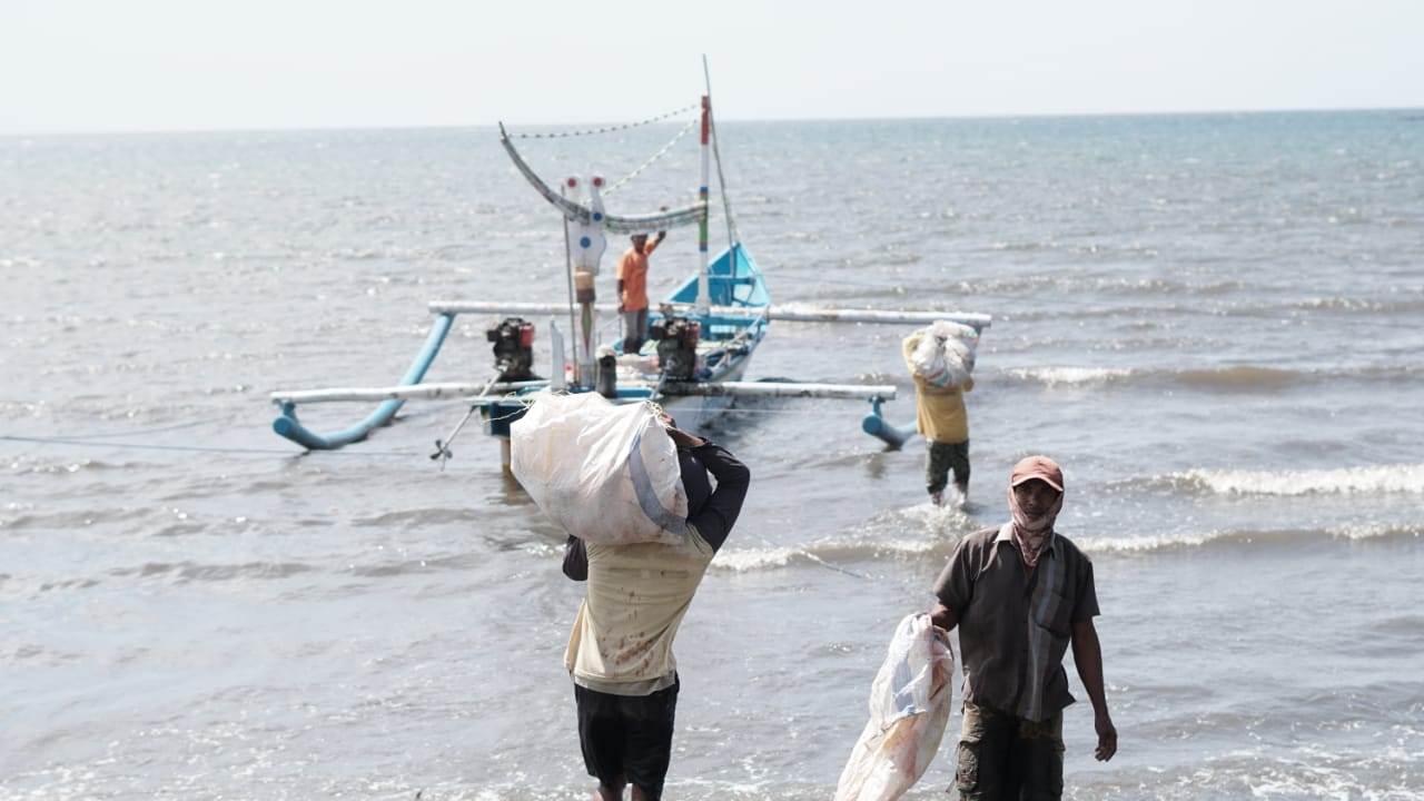 Minim Akses, DD Jawa Timur Distribusikan Daging Via Jalur Laut ke Dusun Merak