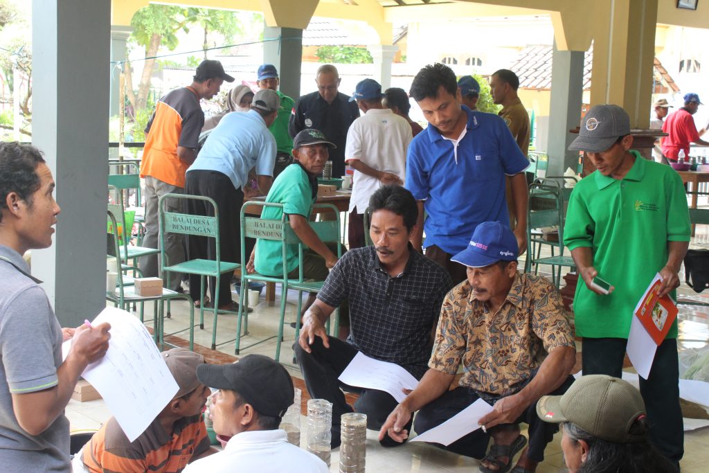 PELATIHAN PERTANIAN PADI ORGANIK: Pembelajaran Ekologi Tanah dan SRI (System Of Rice Intensification) Organik